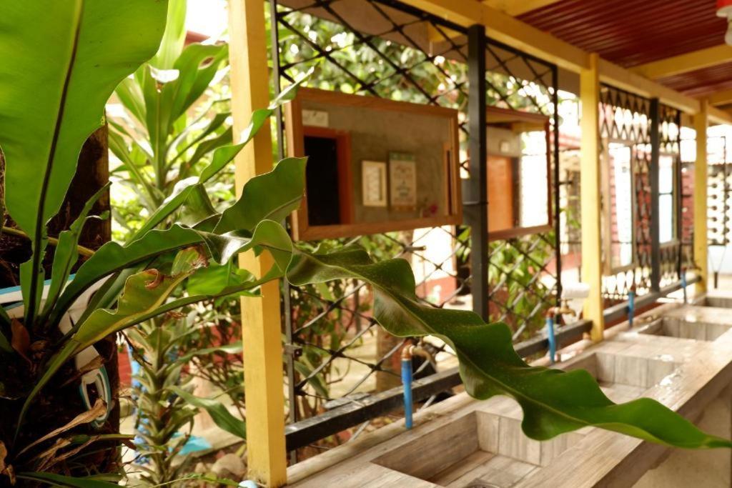 Tropical Breeze Hostel Cebu - Cebu Center 外观 照片